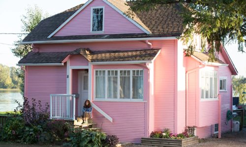 Little Pink House, This land is your
