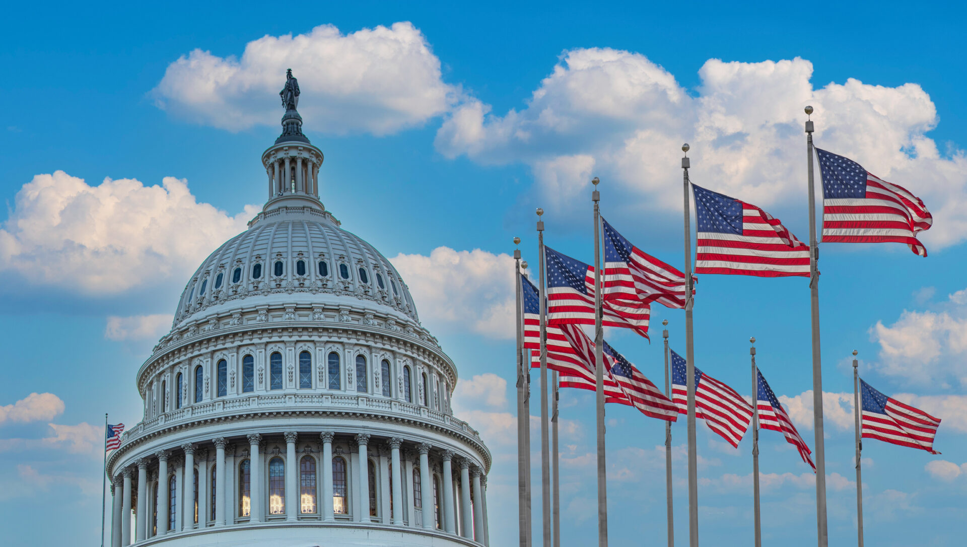 IHS President and CEO Emily Chamlee-Wright on What Erratic Government Does to a Country
