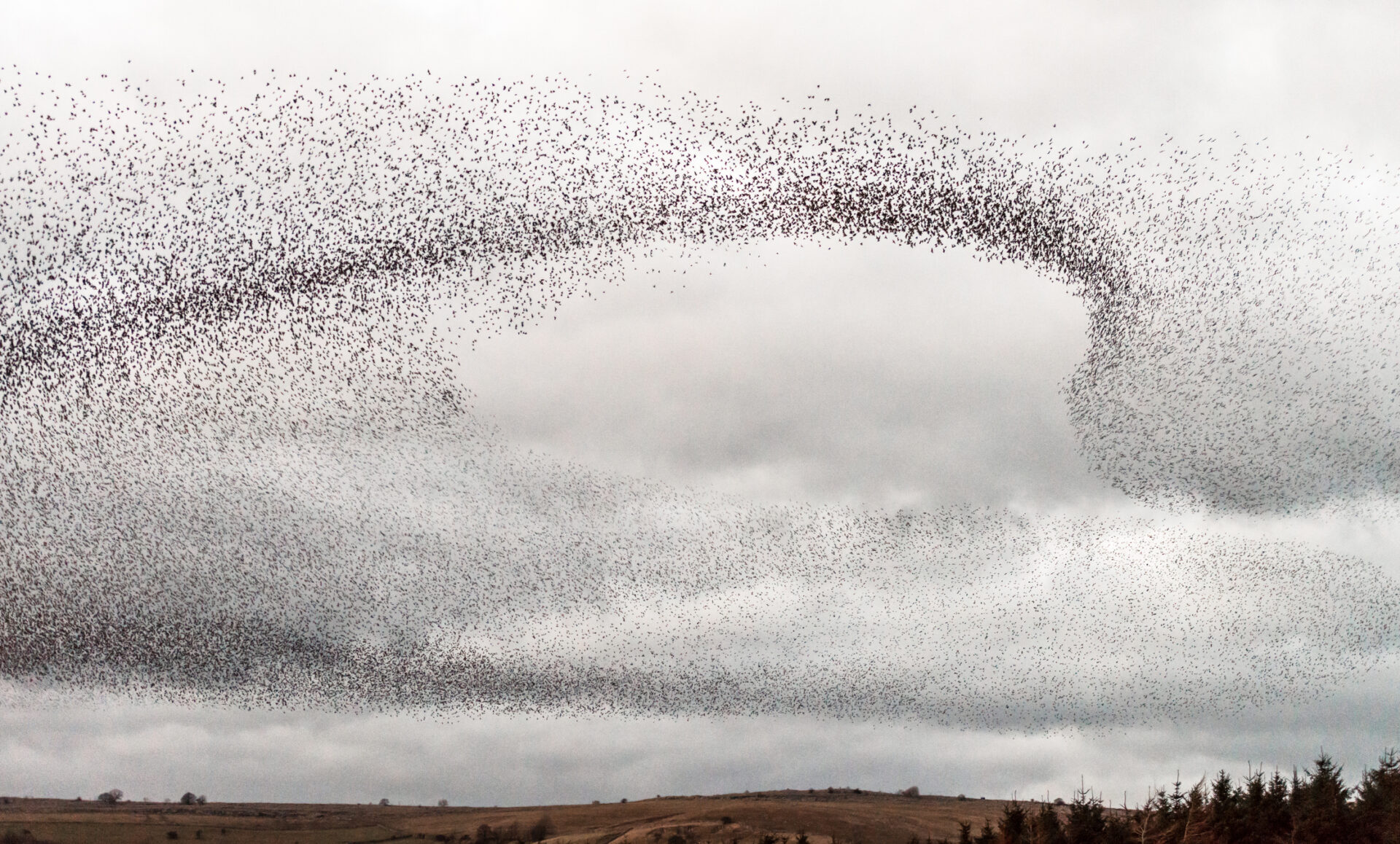 Spontaneous Order: A Testament to Human Creativity and Adaptability