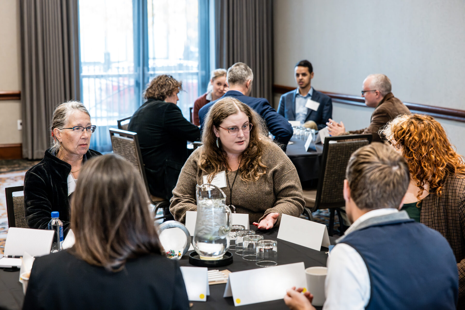 From Hair Braiding to Health Care: Alicia Plemmons and Arbitrary Licensing Rules